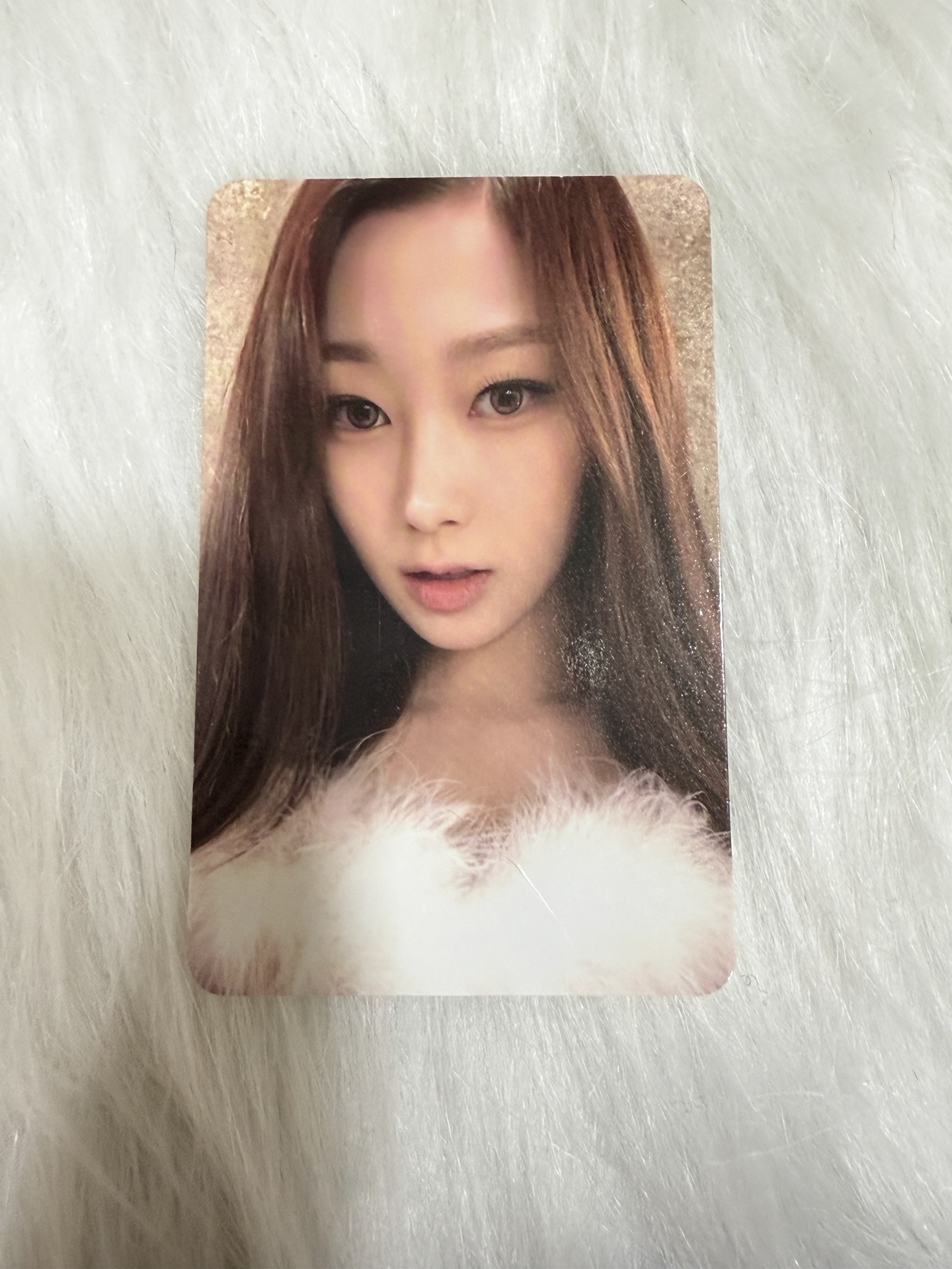 22年聖誕隨機卡 吉