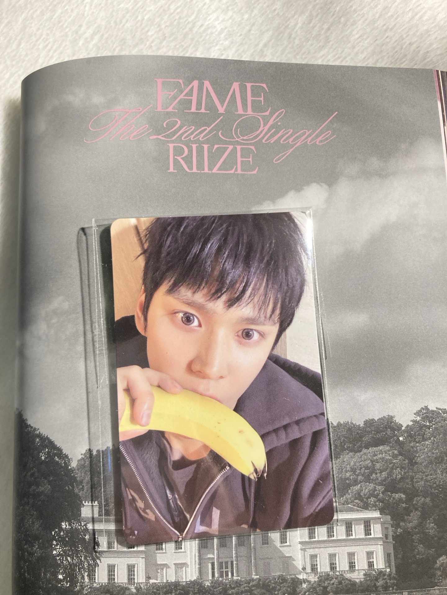 Fame🦇 預售特典 SM