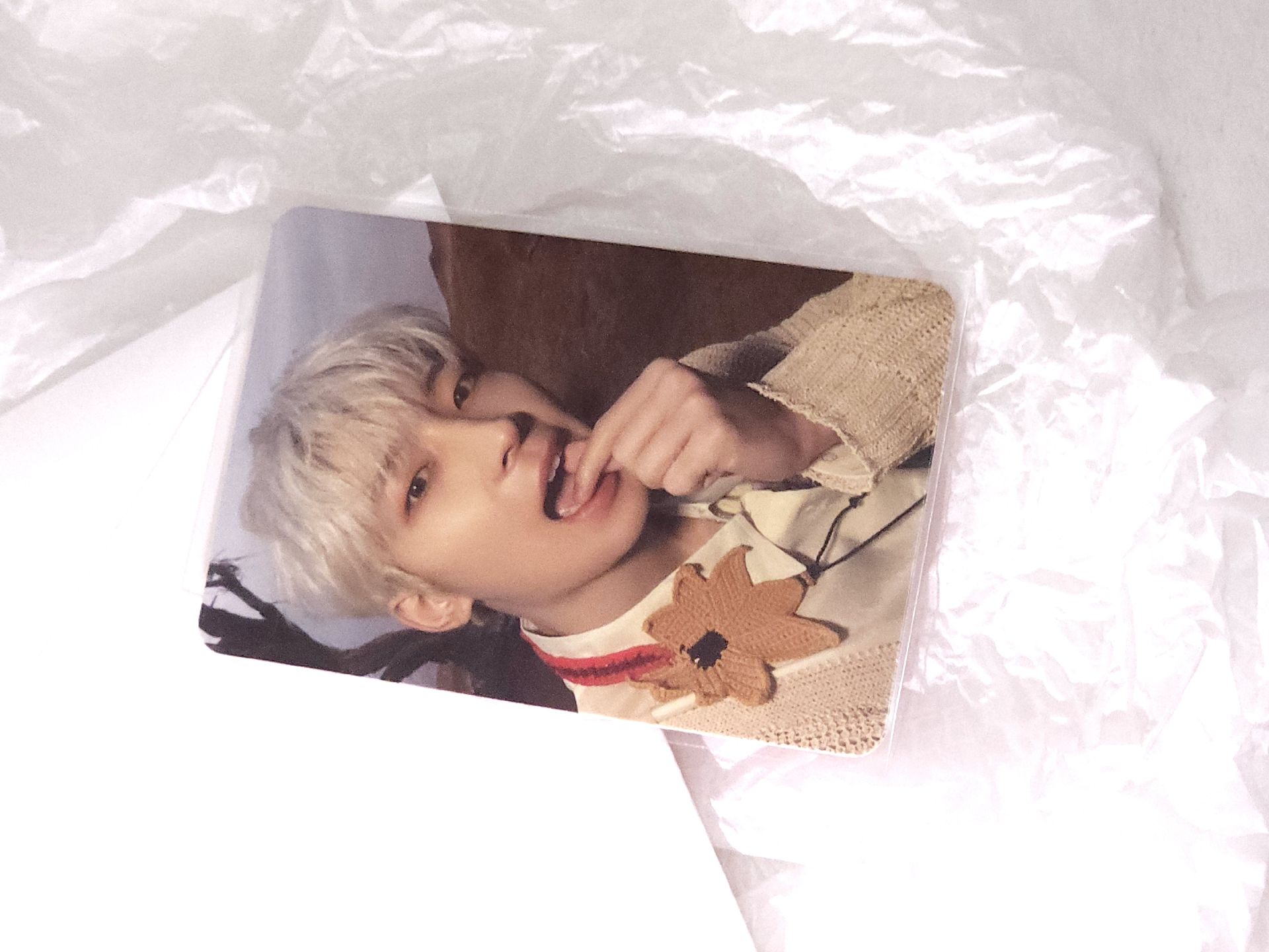 🩷正四 咬心圓