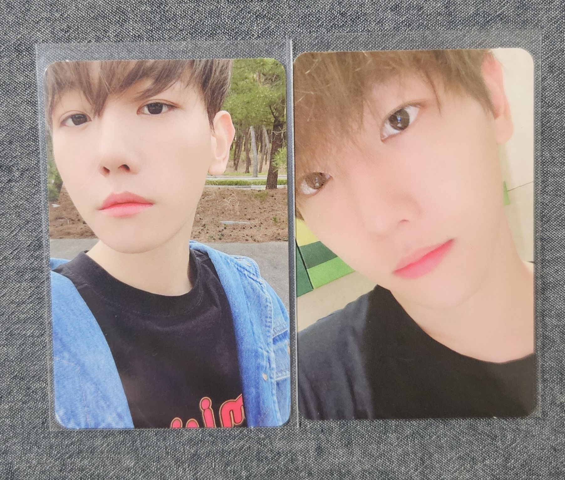 伯賢 Delight,專卡