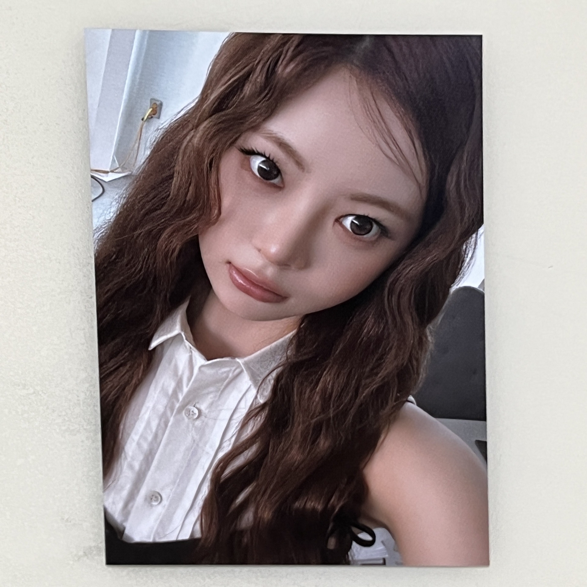 26’年曆 wvs 特典卡 預售特典