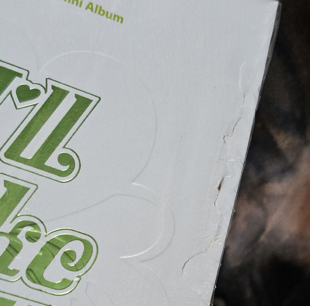 運送損 💽ᝰ✍️🏼 簽專