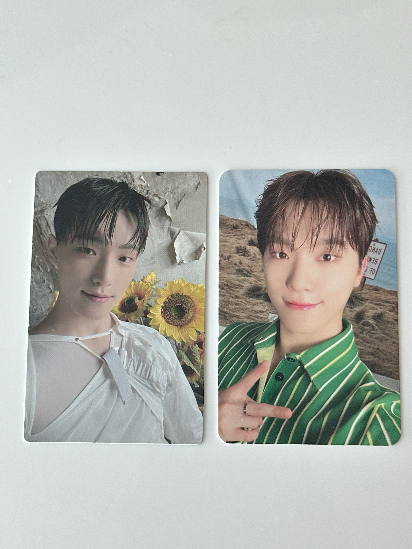 SEVENTEEN DINO 李燦 年曆卡、會員卡