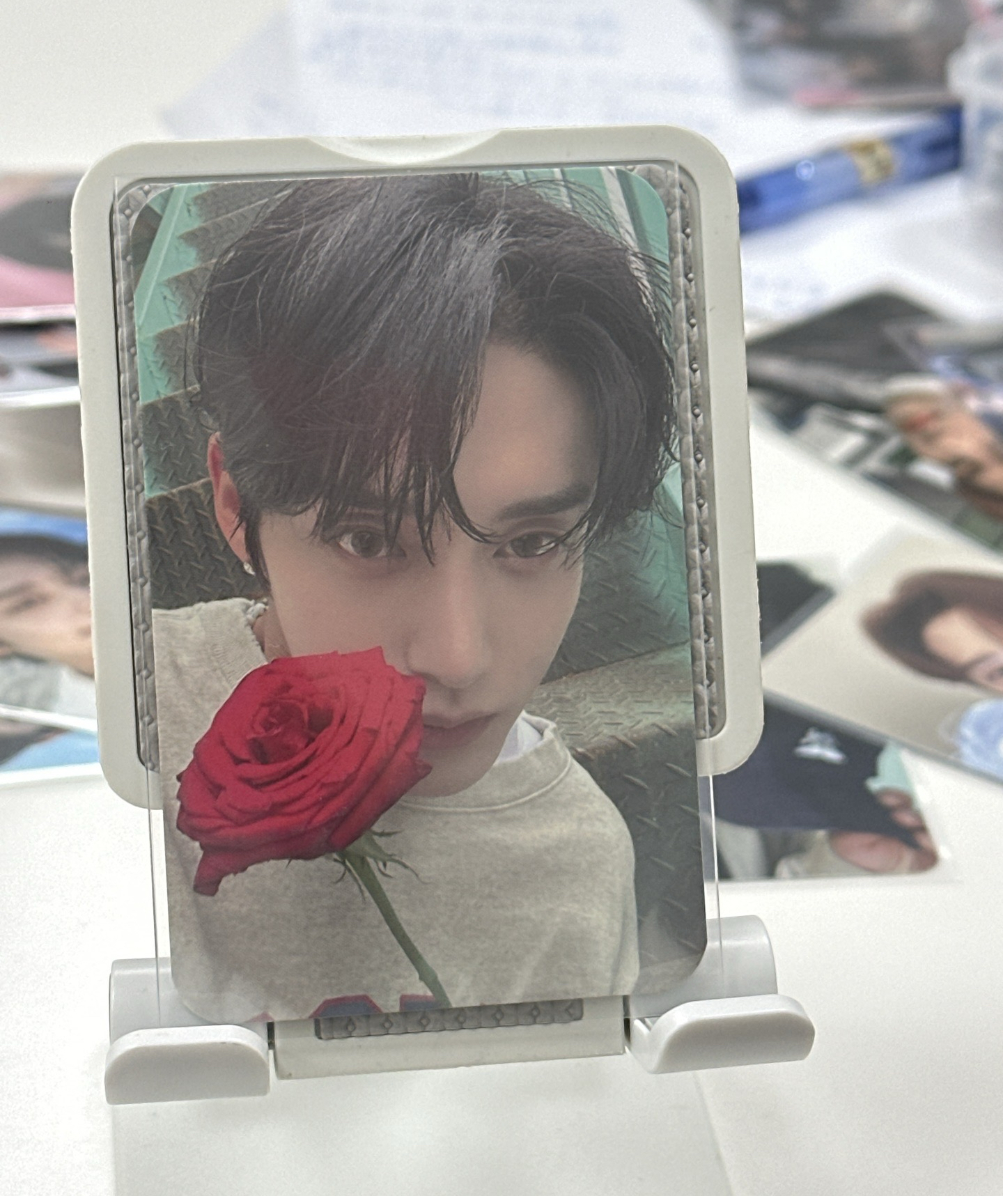 玫瑰打歌卡 雄絲必收