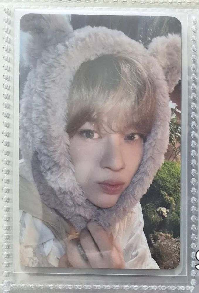 日本會員禮小卡 sion 熊毯