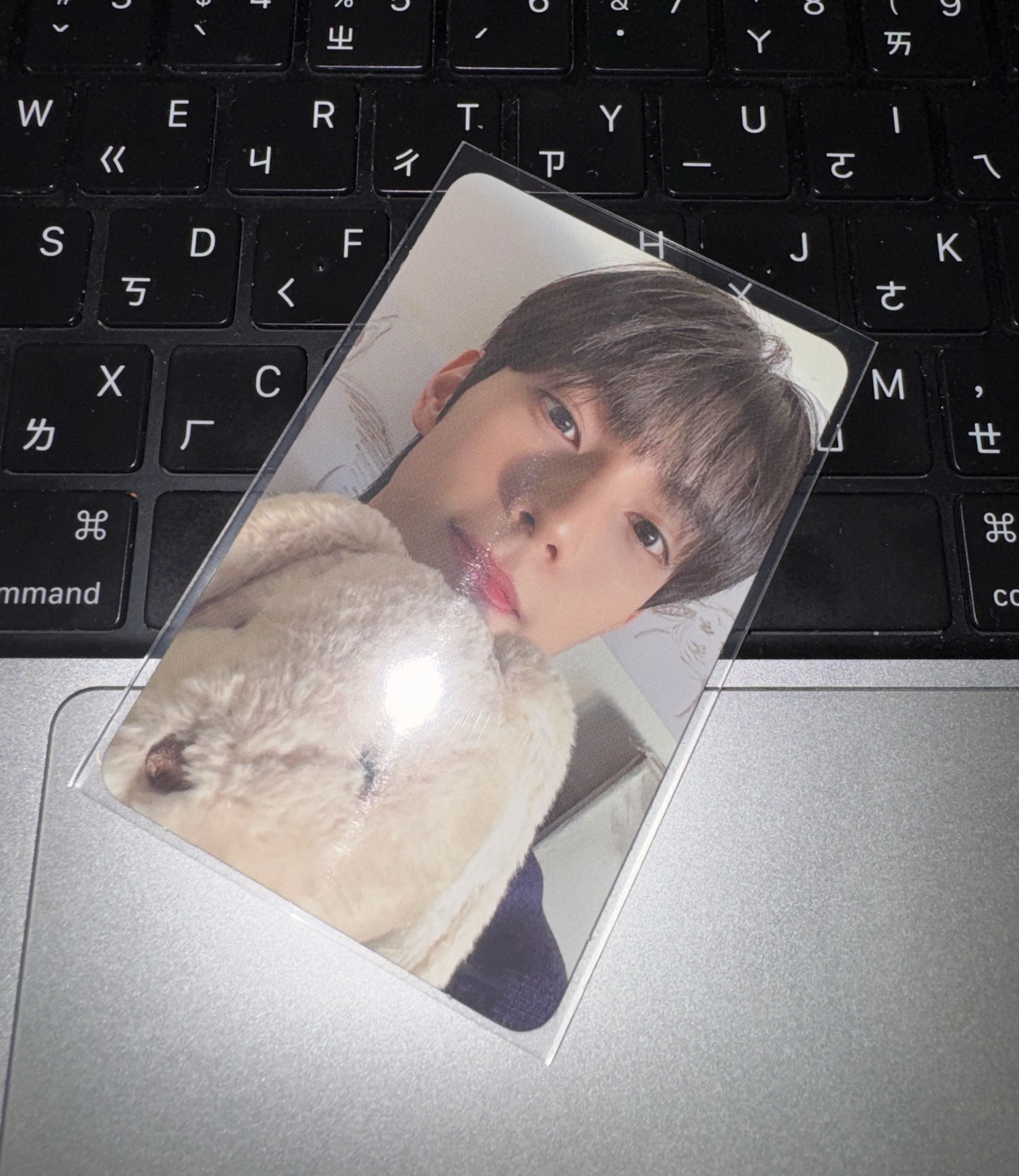 🐰Liyu崔立于 專卡 兔抱兔 