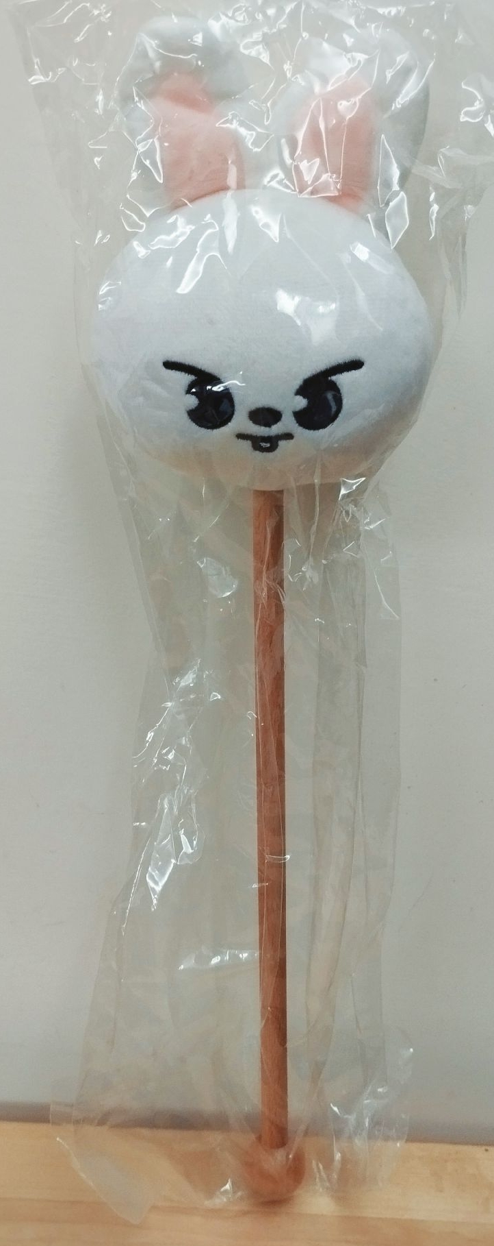 1st 日本巨蛋巡迴 槌肩棒 旻