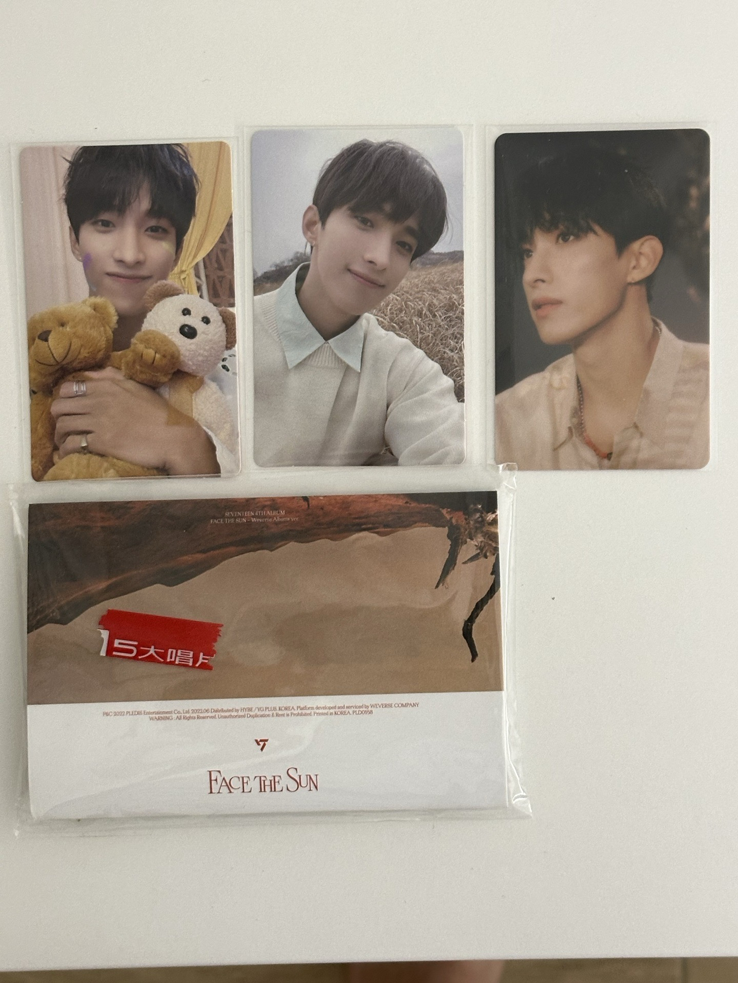 seventeen face the sun 電子專 抱熊碩