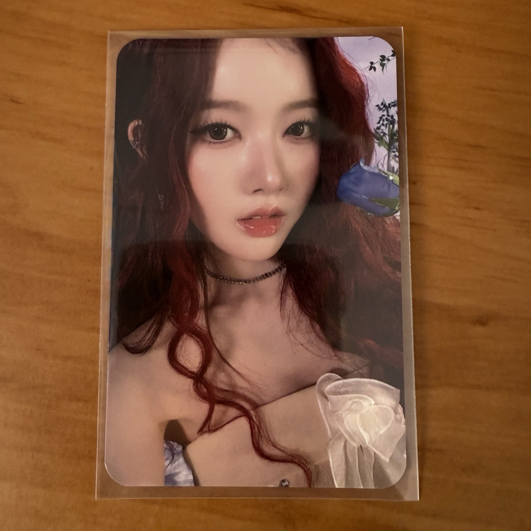 蒔恩	二巡 首爾場 vip 入場卡