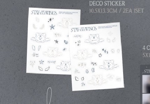 Straykids六期會員禮 城菲雙人卡+城菲人生四格+貼紙