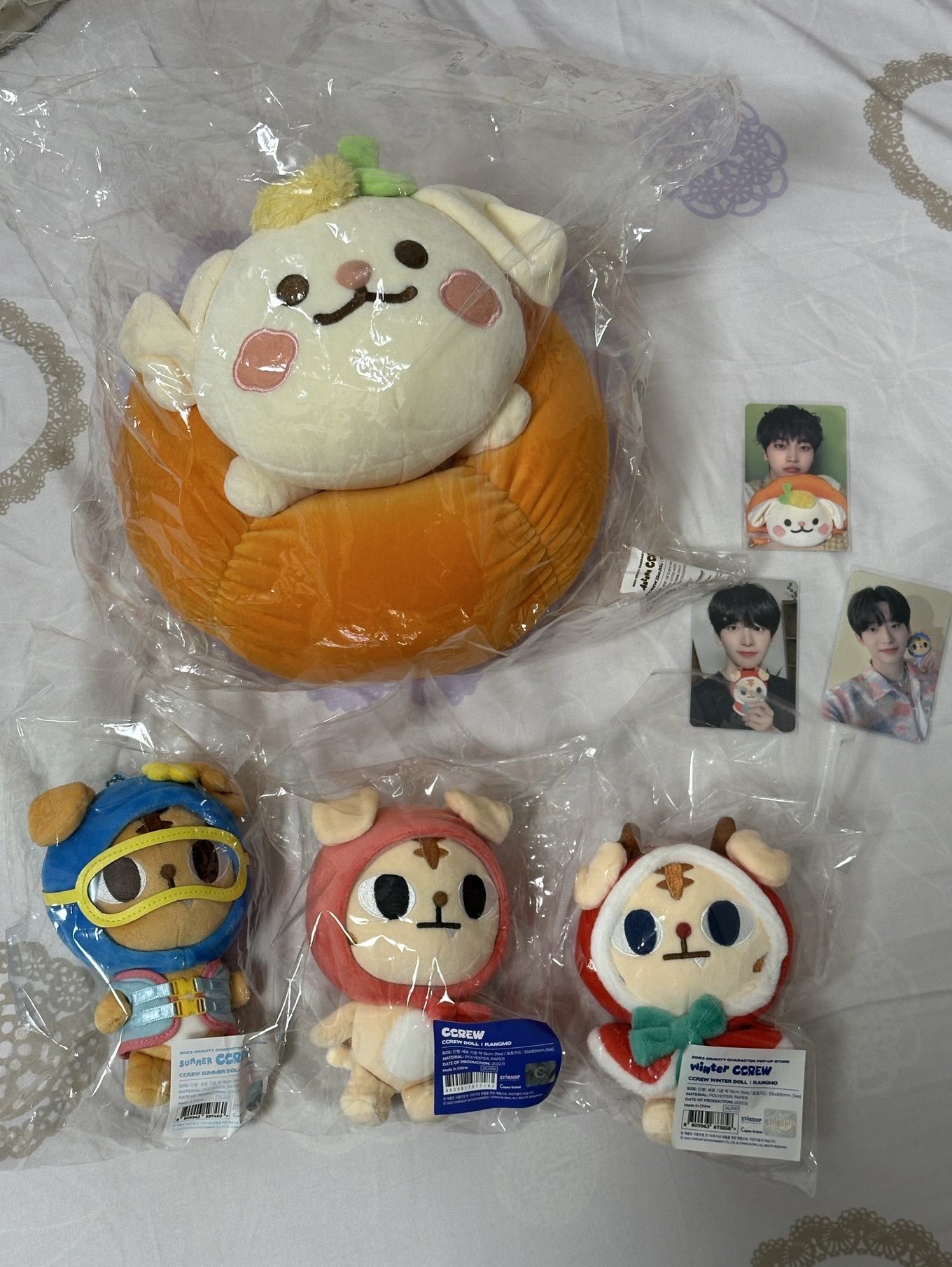 ccrew 夏日虎謨 秋日偷哩