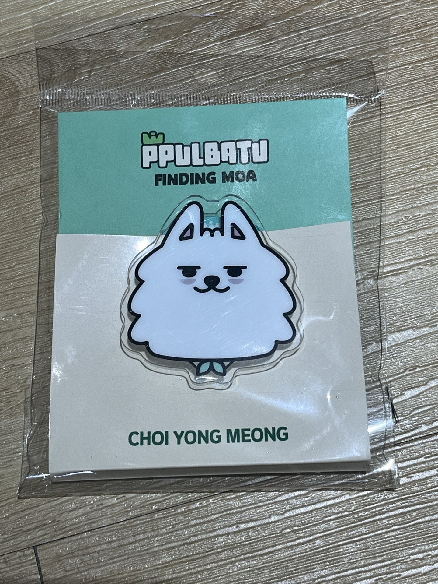 TXT PPULBATU 手機支架 崔勇猛 秀彬