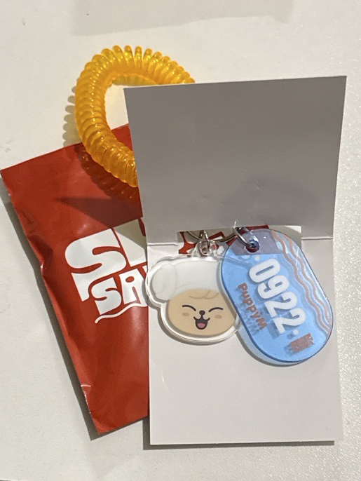 Skz夏日快閃 桑拿隨機吊飾