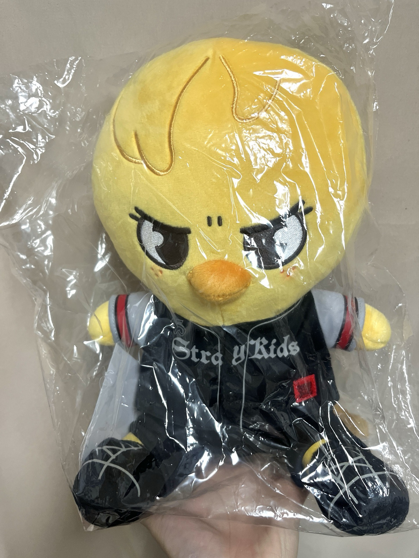 Stray Kids dominATE JAPAN 靜岡場 坐娃