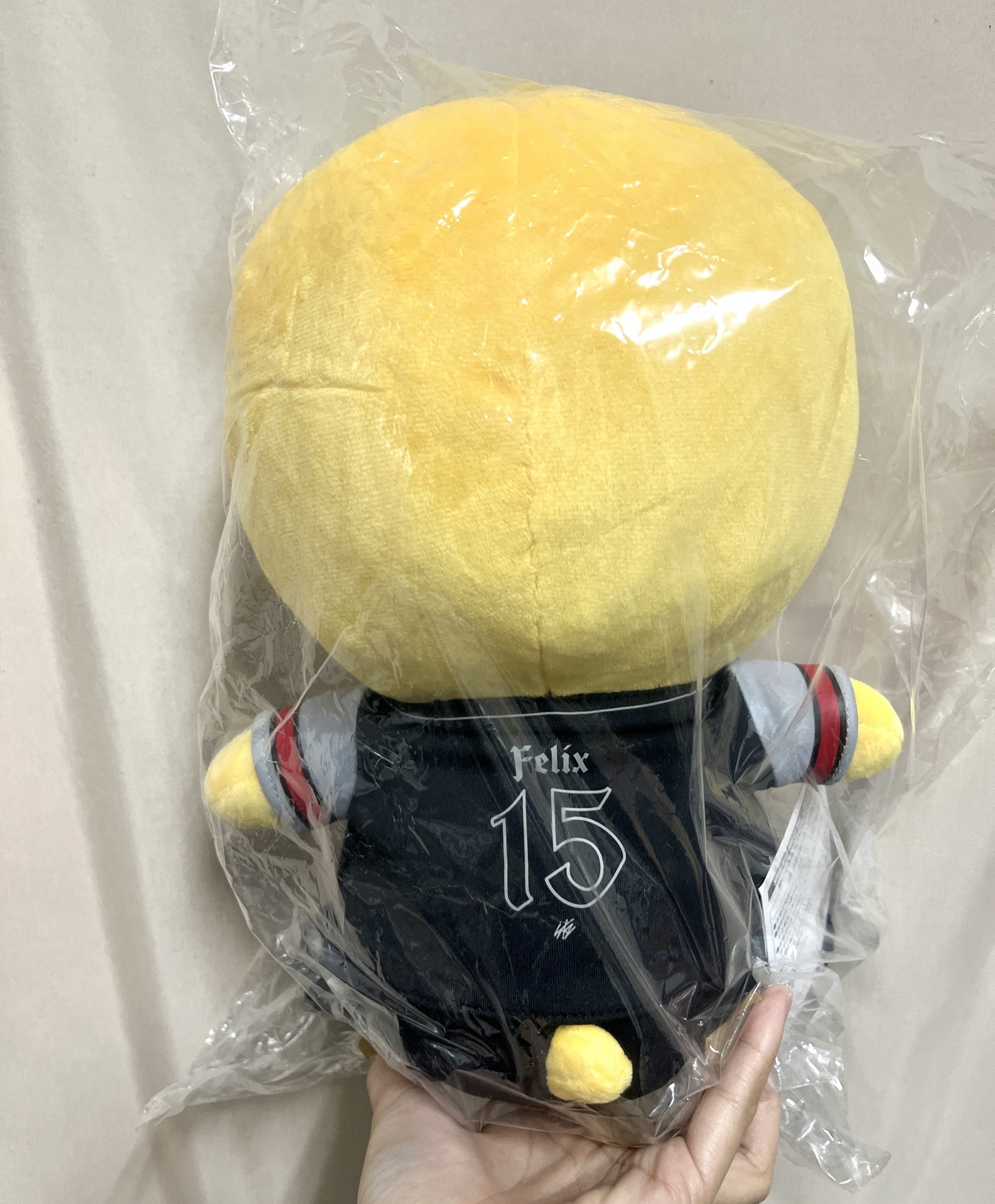 Stray Kids dominATE JAPAN 靜岡場 坐娃