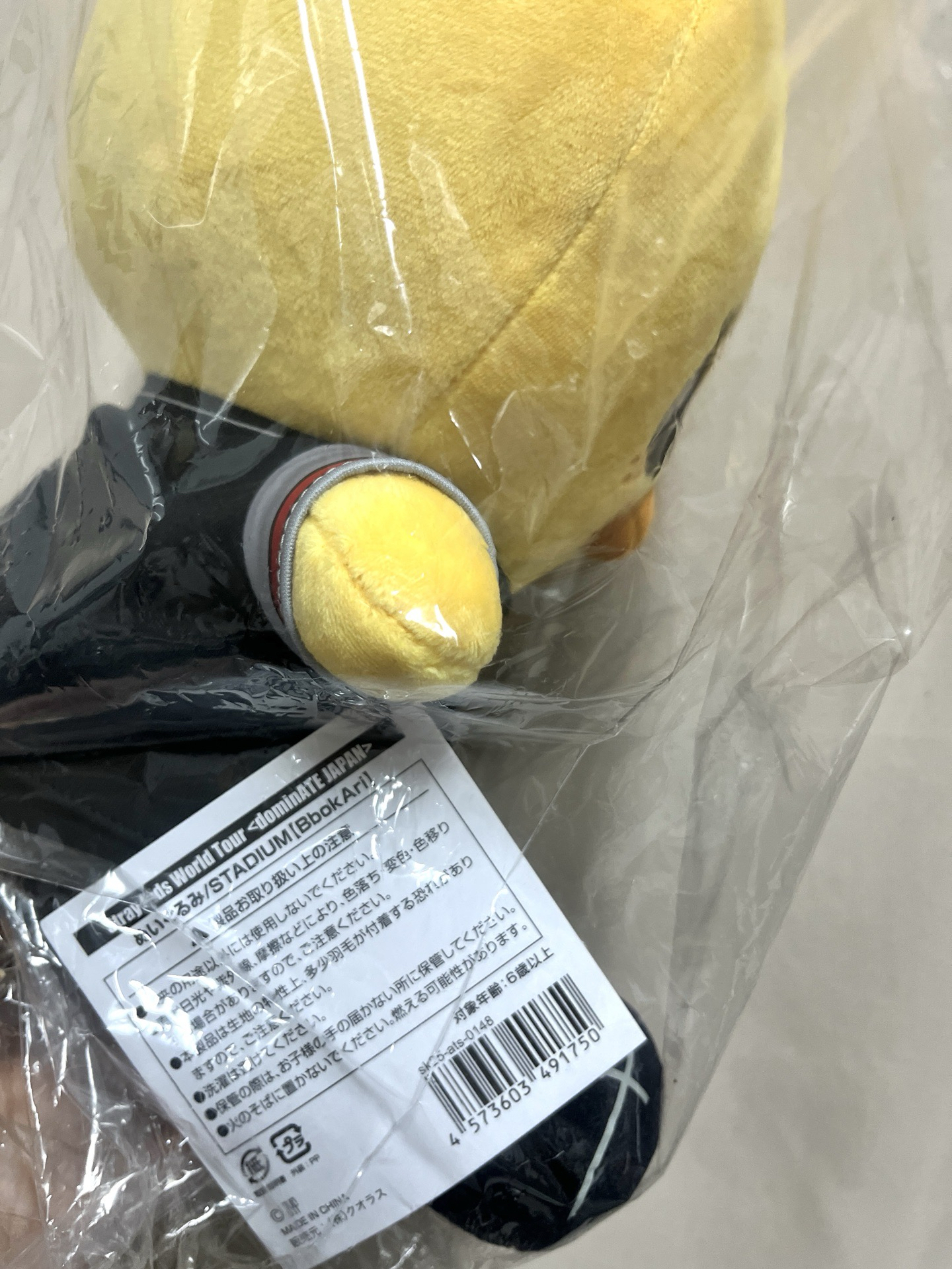 Stray Kids dominATE JAPAN 靜岡場 坐娃