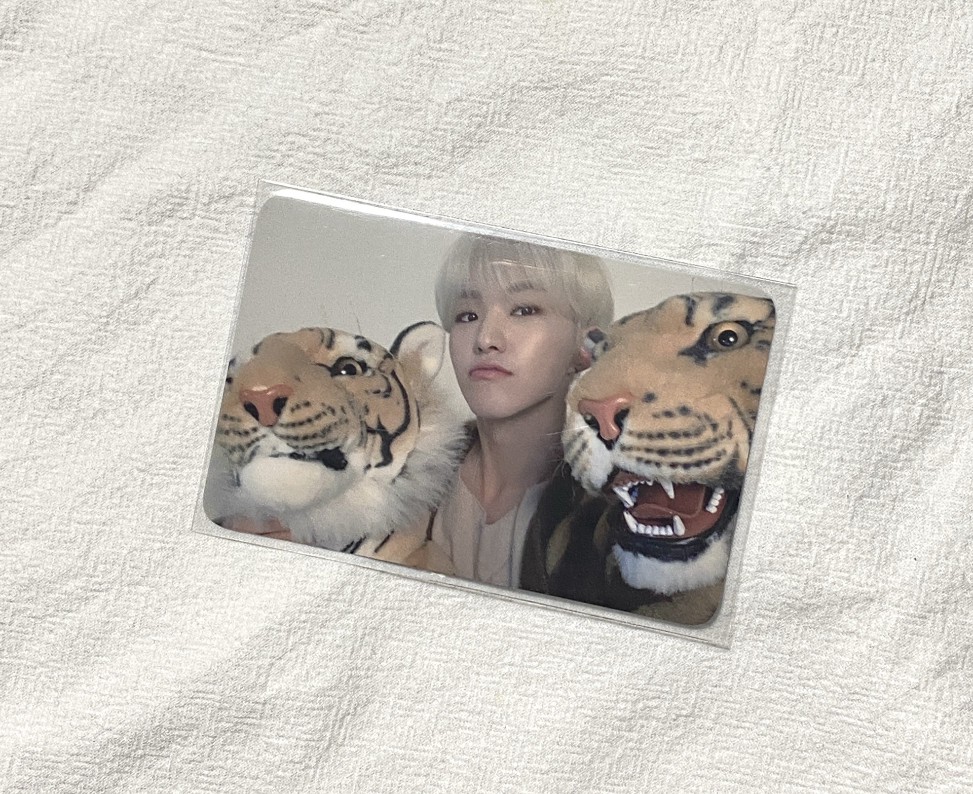 🐯2020榮年曆卡 三虎榮