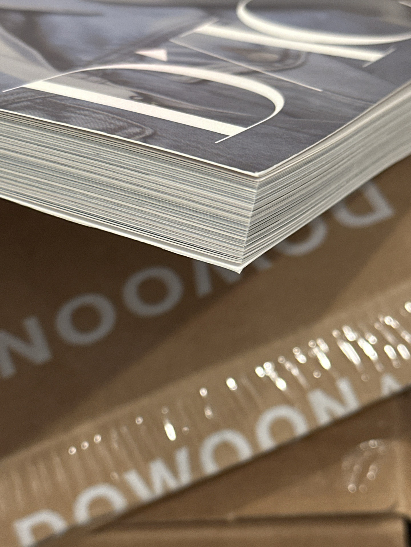 Dicon 雜誌 度云 A版