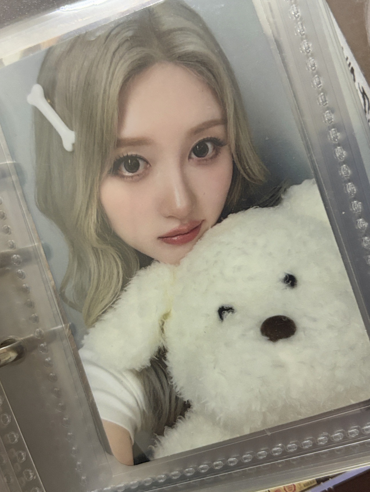 秋天hl簽售狗狗卡