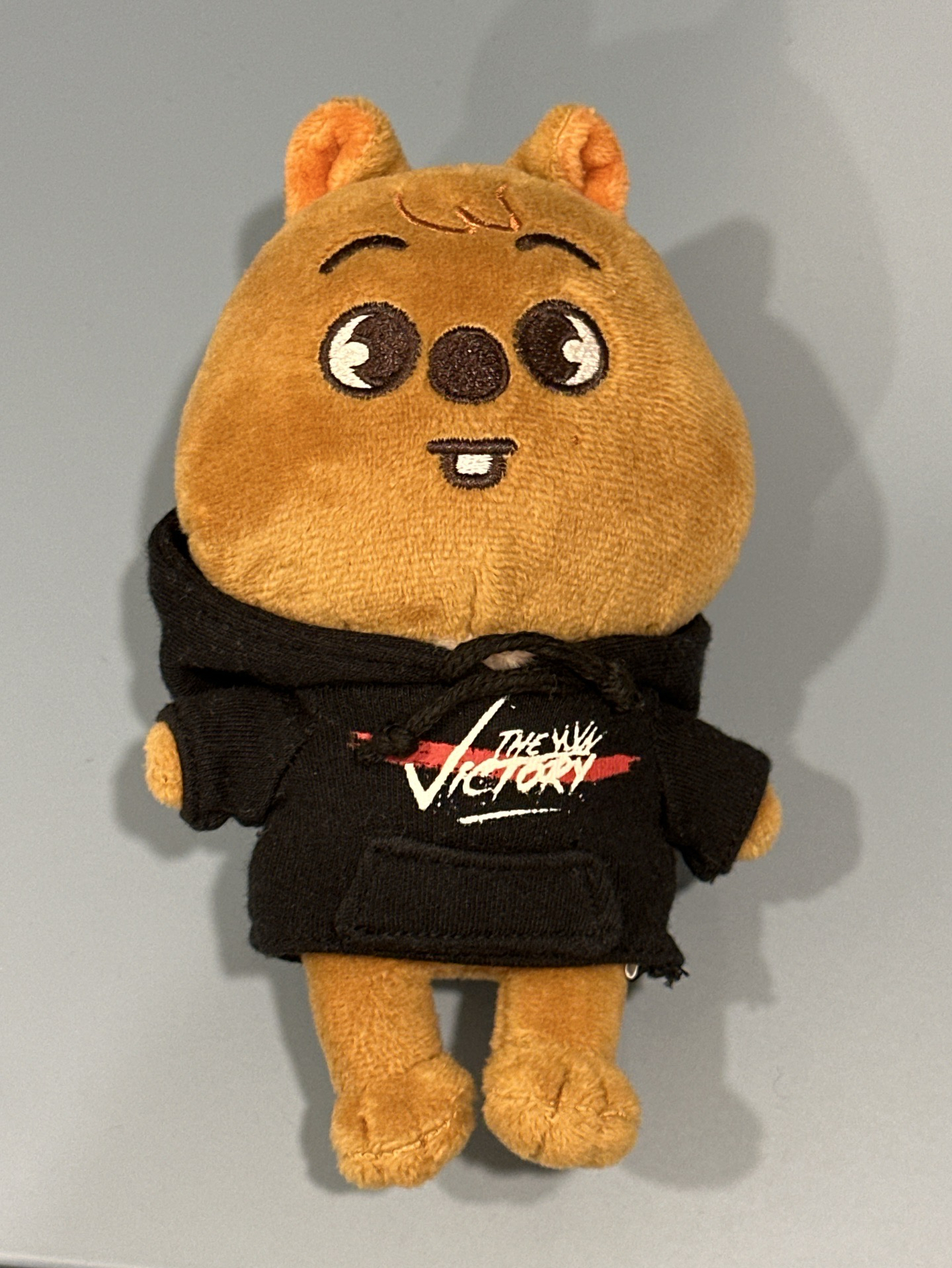 快閃店 15cm 闊卡