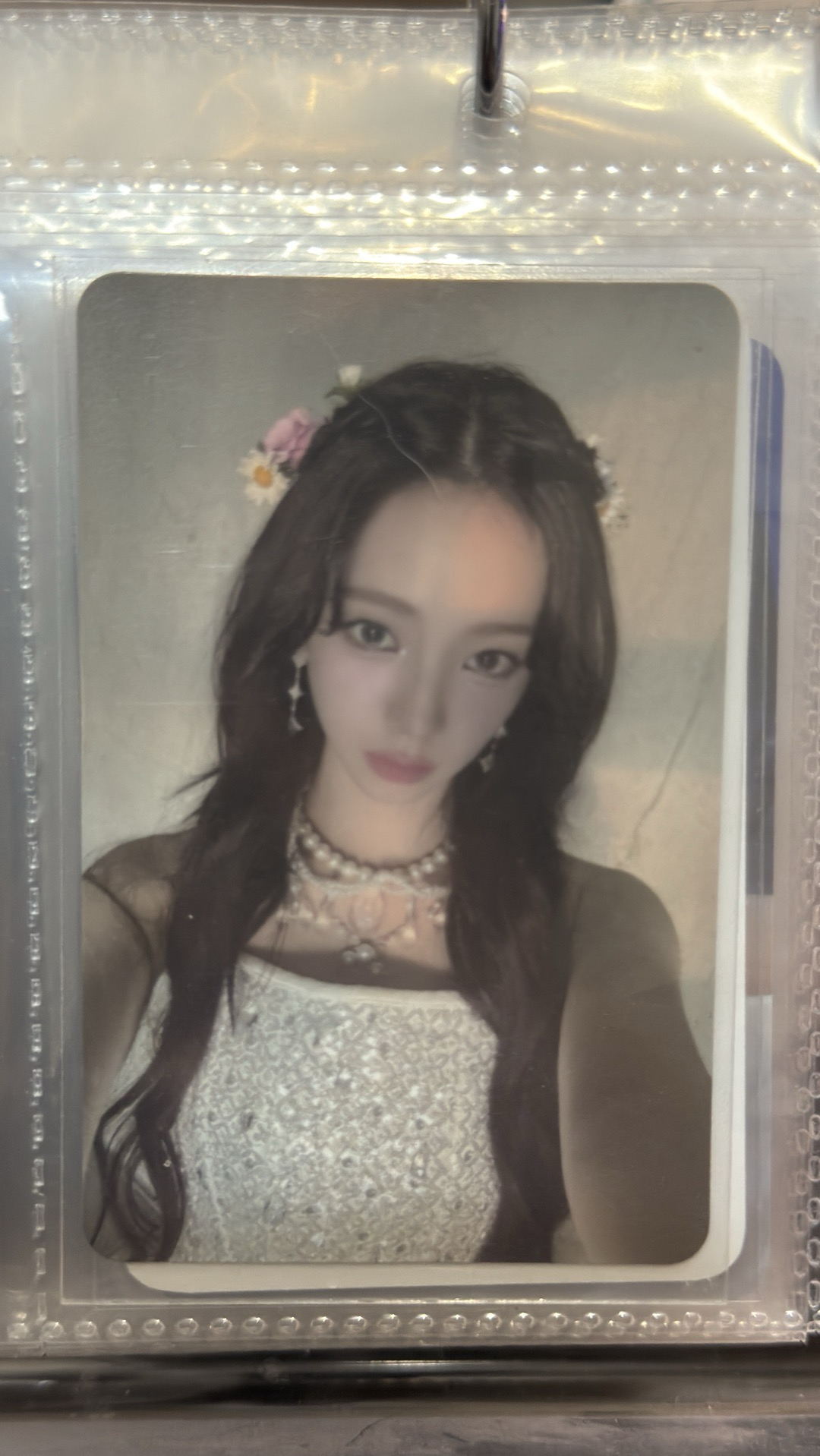 whiplash sm預售柚