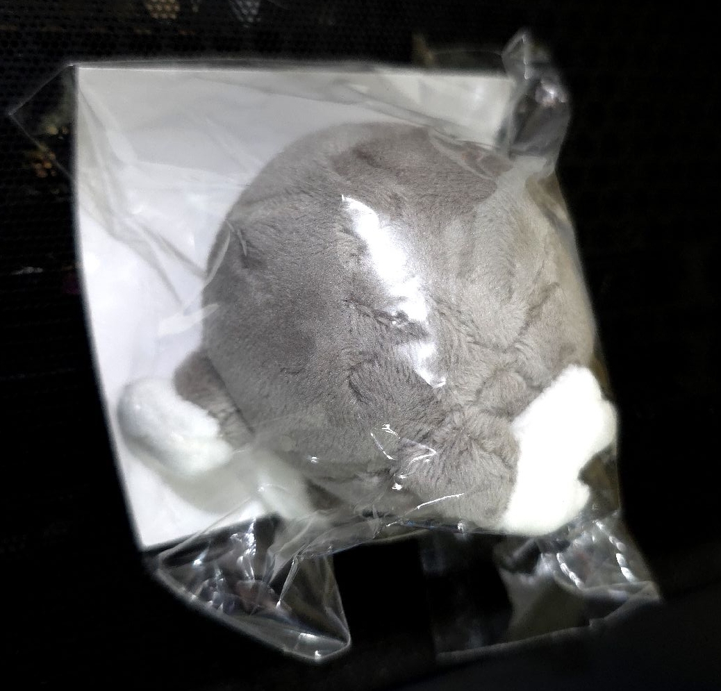 2024澀谷聖誕快閃 🐺屁股支架