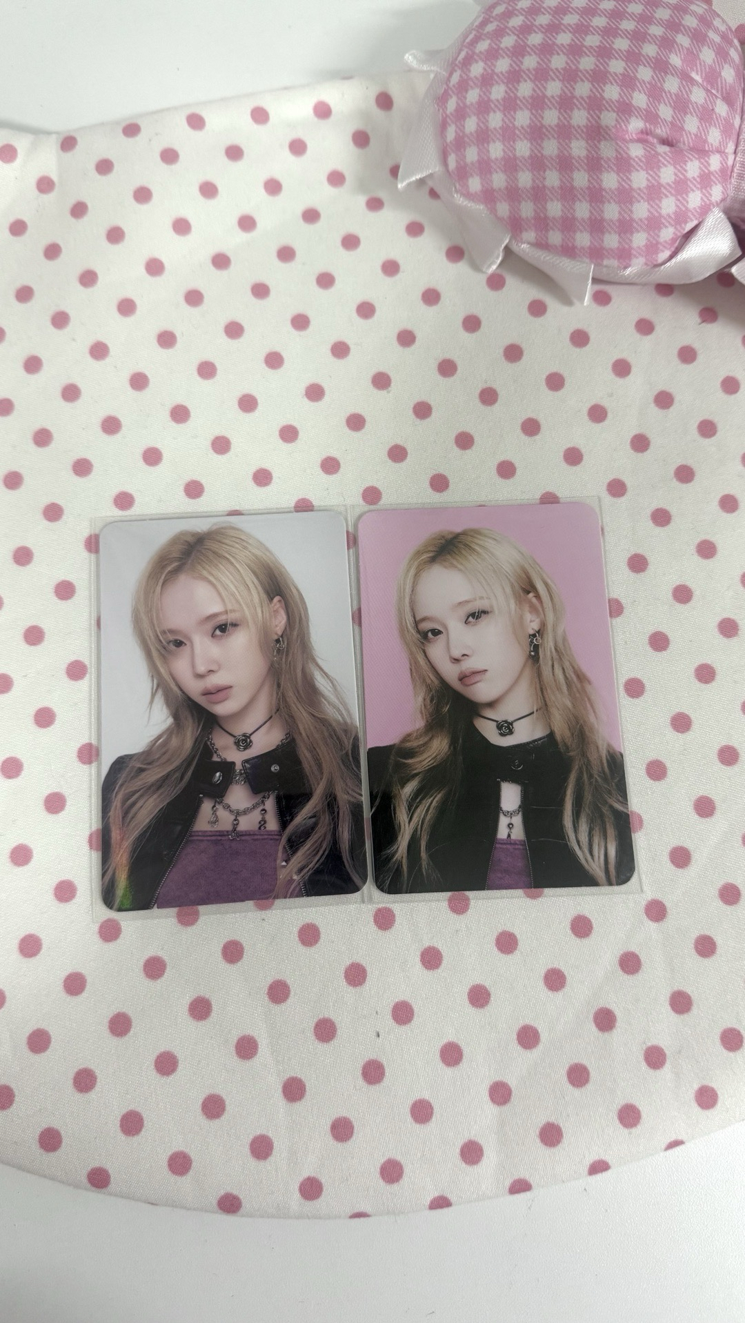 吉他手帥狗🎸🐶