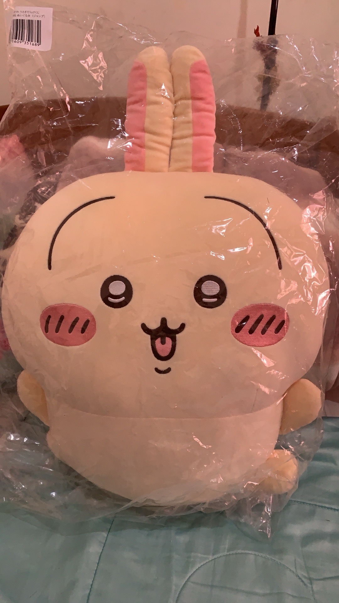 全新現貨*烏薩奇 一番賞 A賞+隨機贈送一隻E賞別針