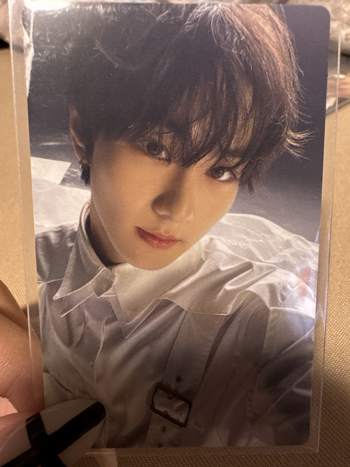 enhypen日專結專卡元