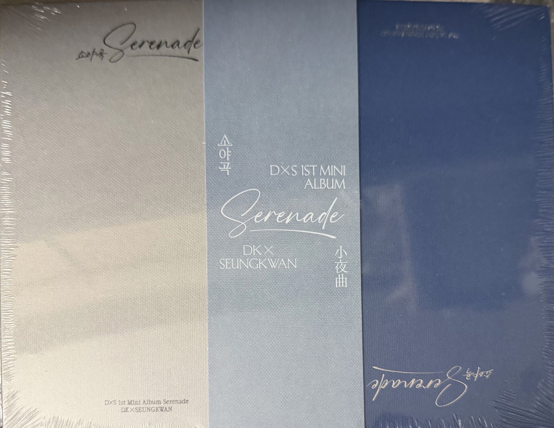 DxS 一般專 ECHO ver.未拆專 無特典