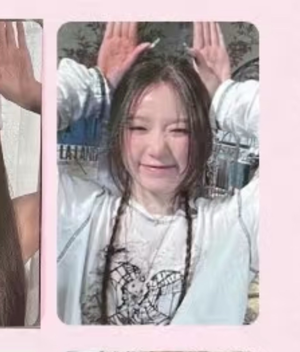 mini6 target兔耳刷