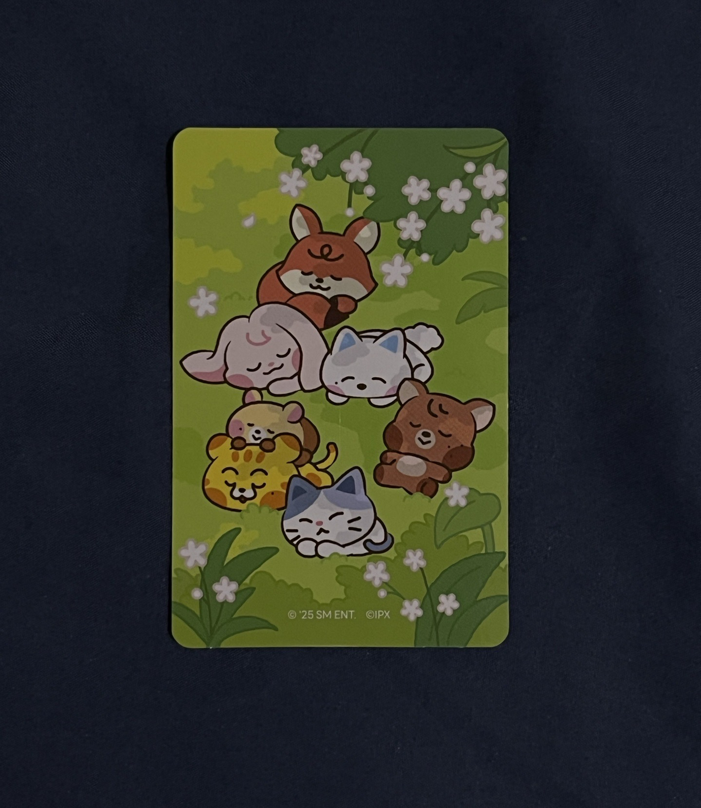 Dreamiez 隨機卡 官拍 Mark