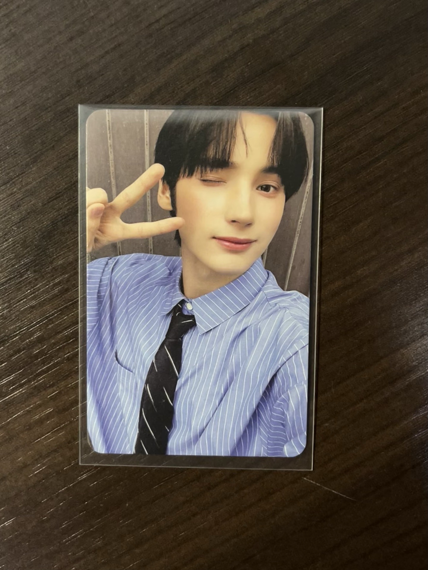 休寧凱 2023 夏寫 牛奶寧