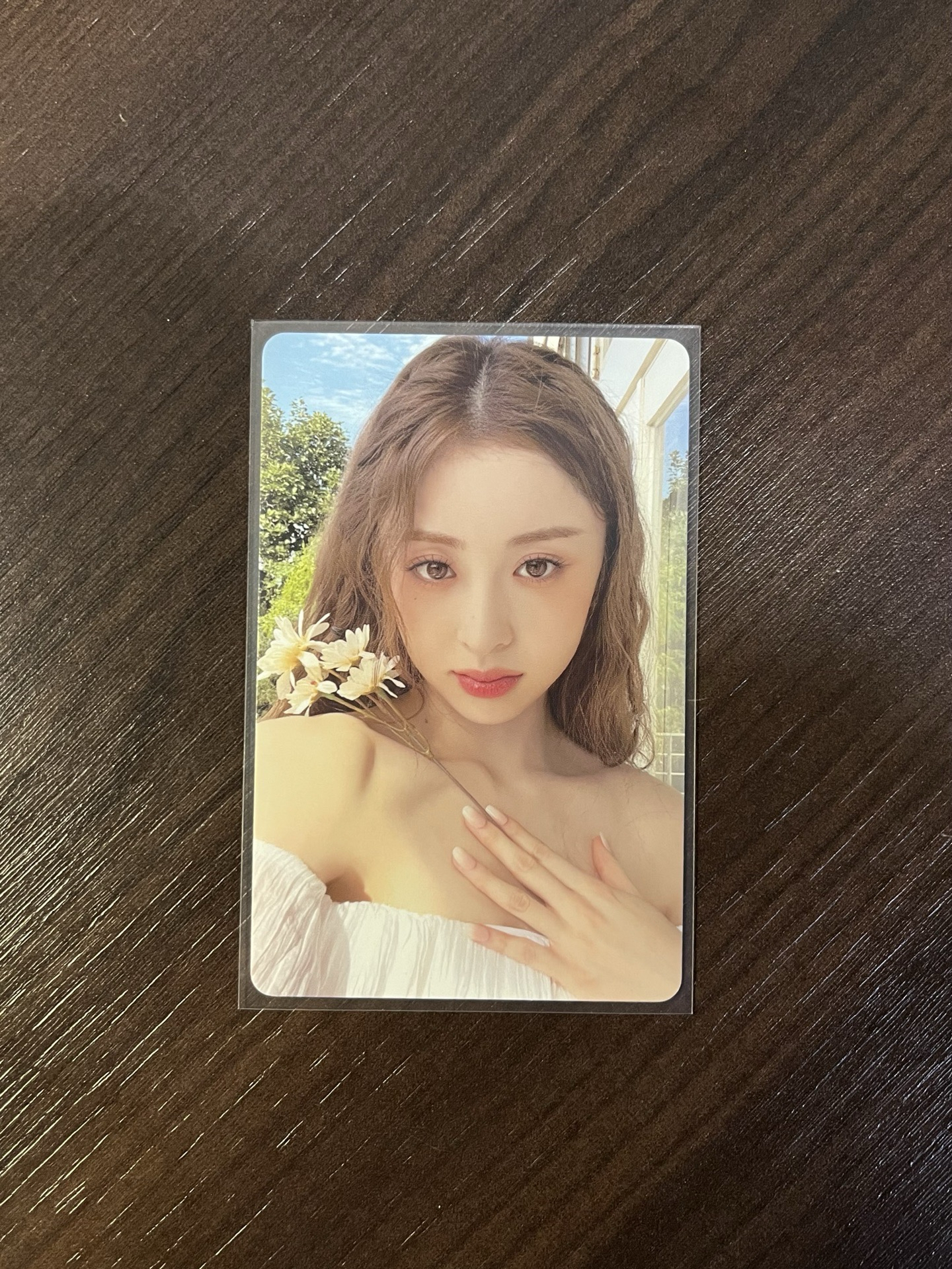 許允真 2023年曆小卡