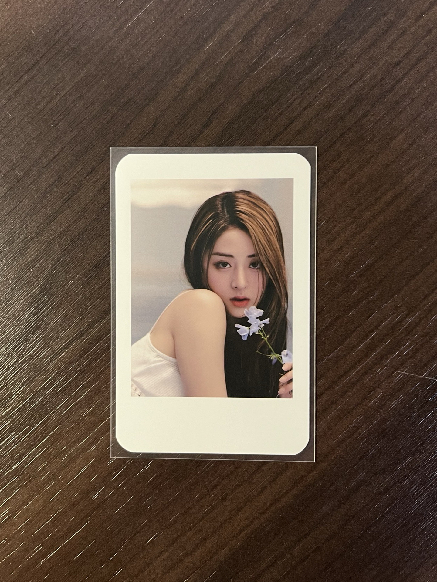 許允真 interpark 特典卡