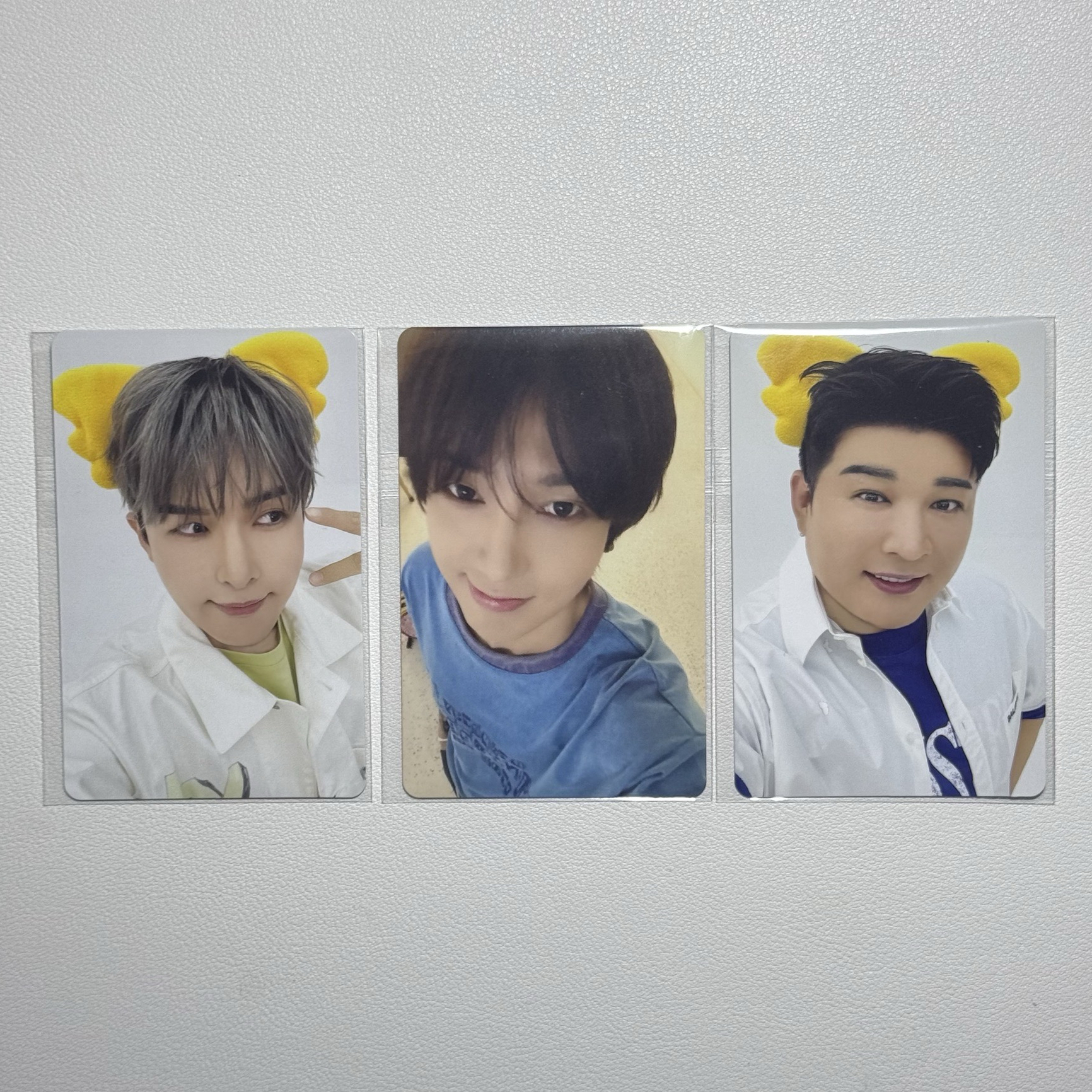 SUPER JUNIOR SUPER SHOW 10 日本場週 小熊餅乾卡 餅卡 藝聲 神童 厲旭 SS10 日週