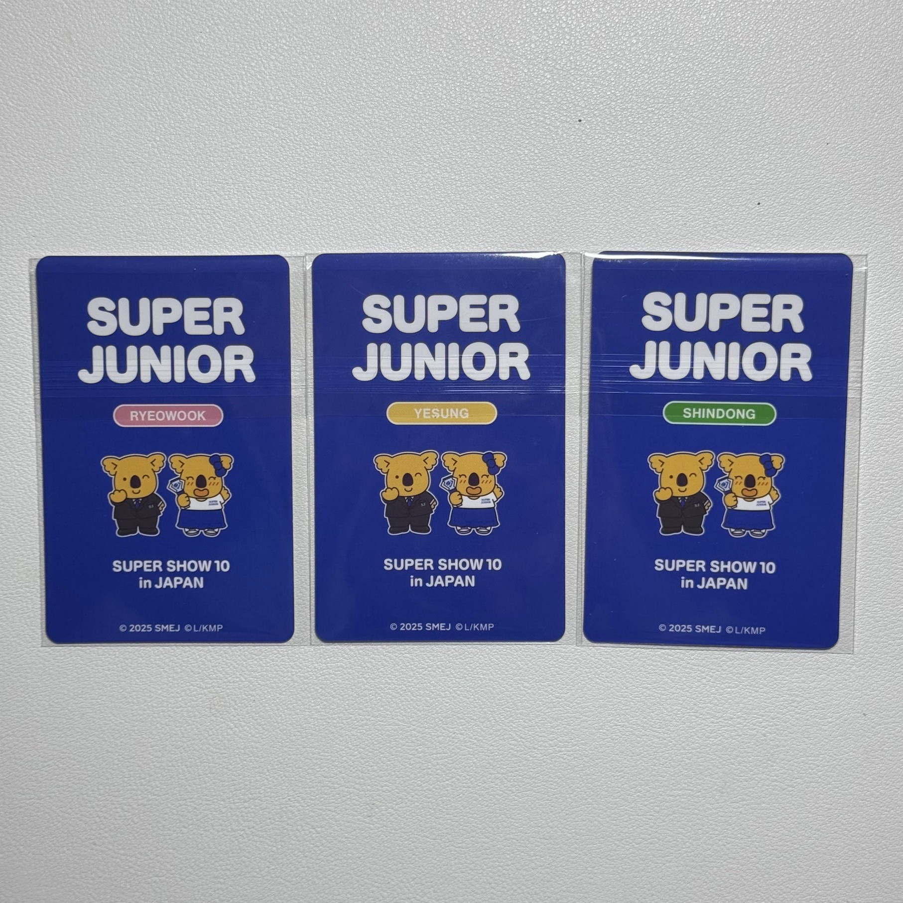 SUPER JUNIOR SUPER SHOW 10 日本場週 小熊餅乾卡 餅卡 藝聲 神童 厲旭 SS10 日週