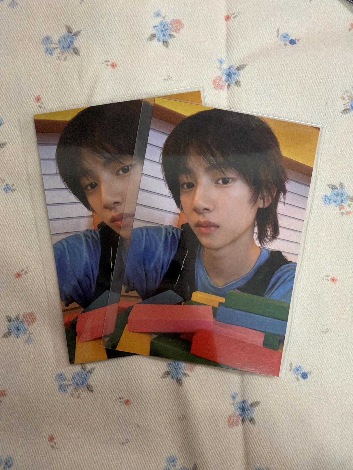 金主訓wvs 特典卡