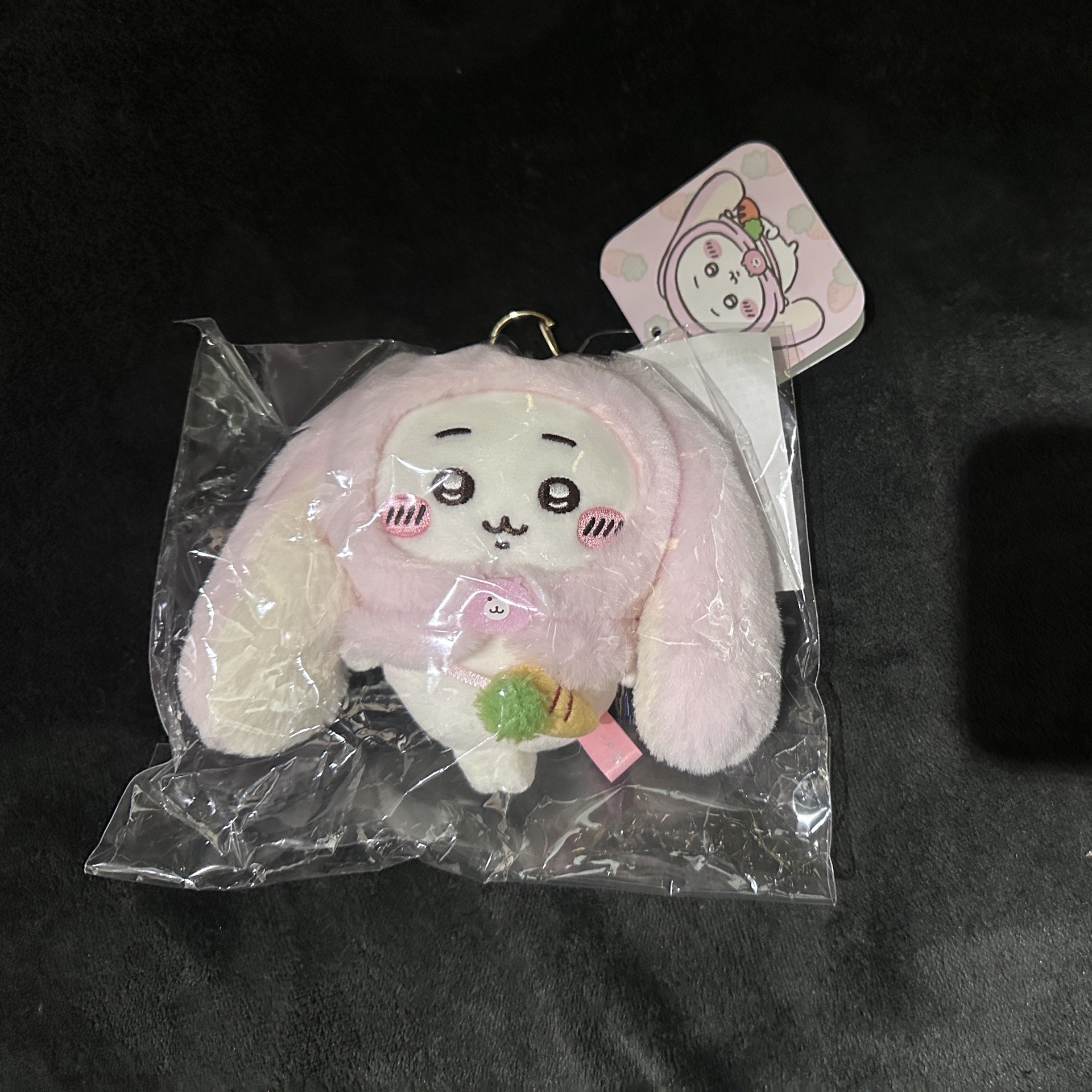 垂耳吉伊+錦鯉吉伊