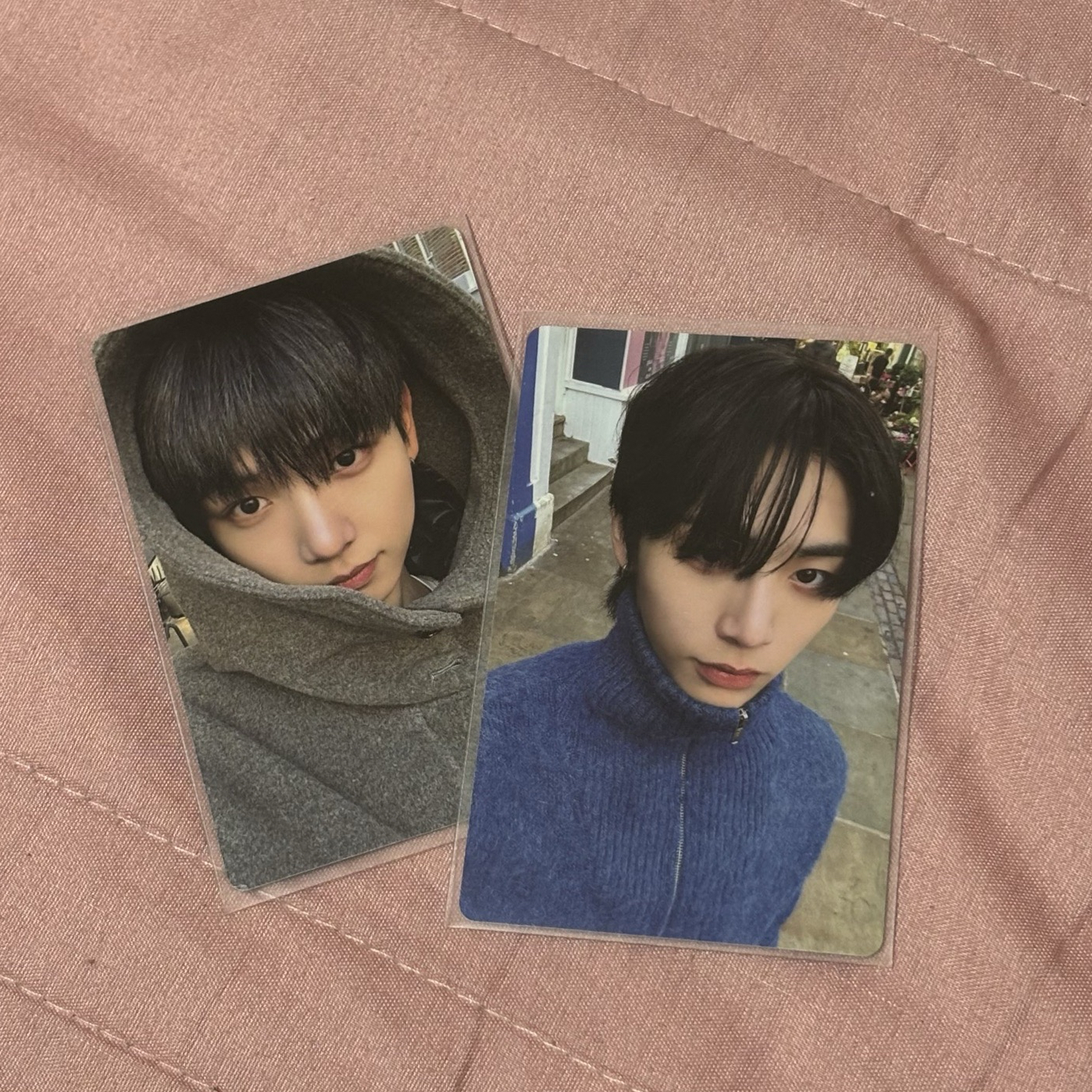 🐶🐶🐶🐈‍⬛🐈‍⬛🐈‍⬛