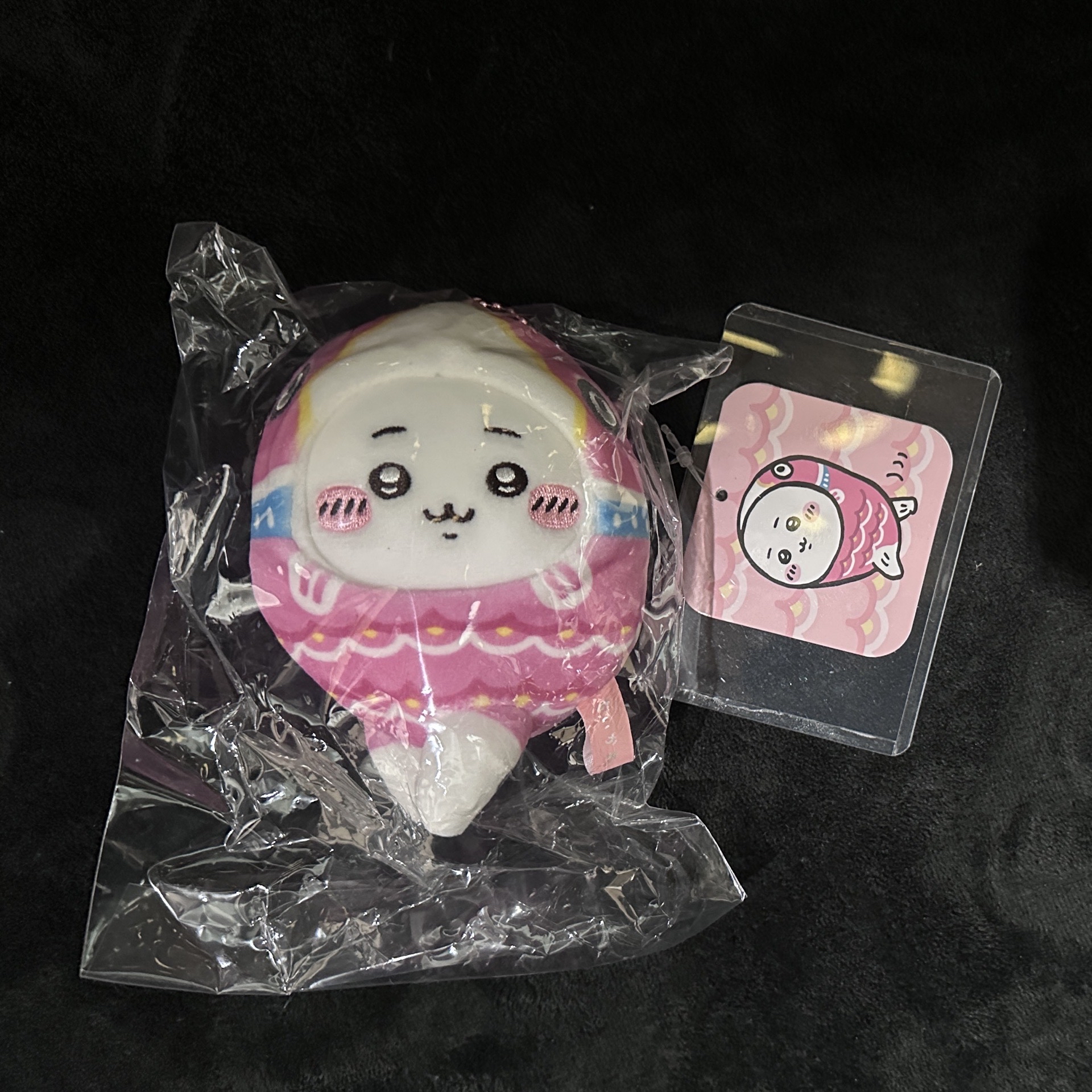 垂耳吉伊+錦鯉吉伊