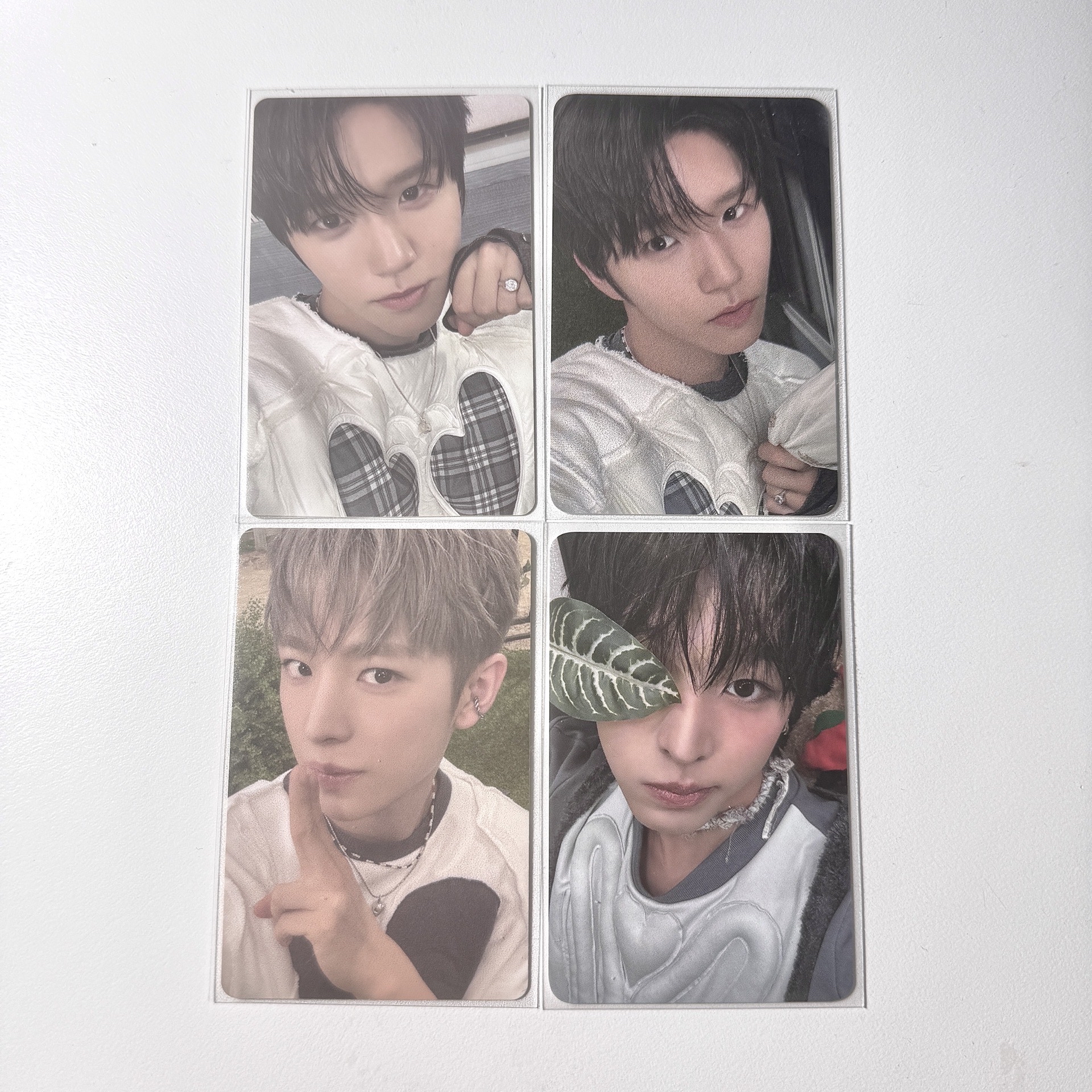 ⋆˚ NCT WISH ˖° —— Color k4特典