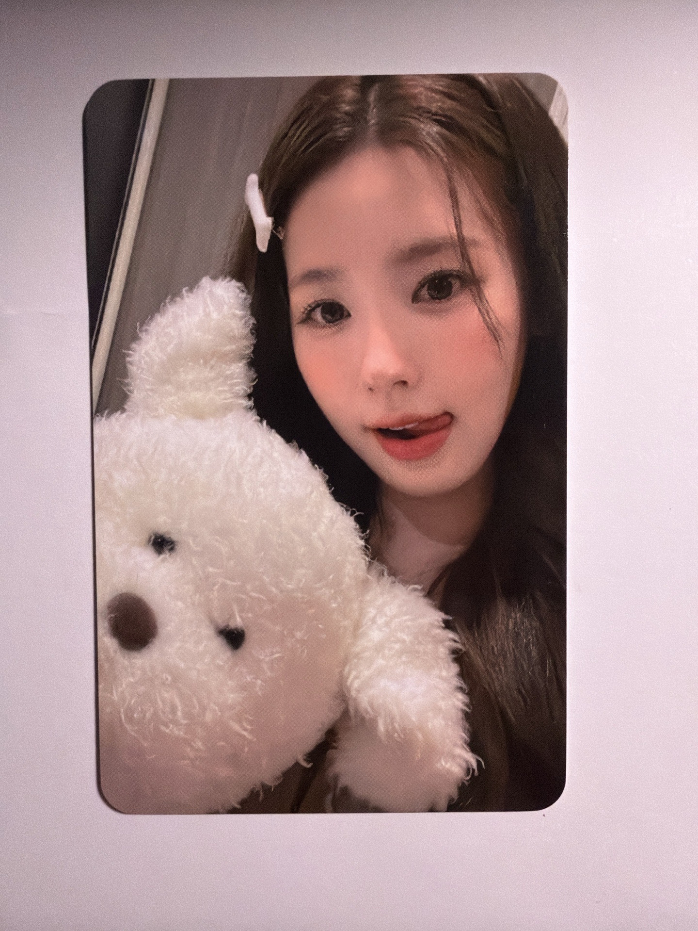 現貨當日出貨/We are hl 2.0 簽售卡 狗狗麵