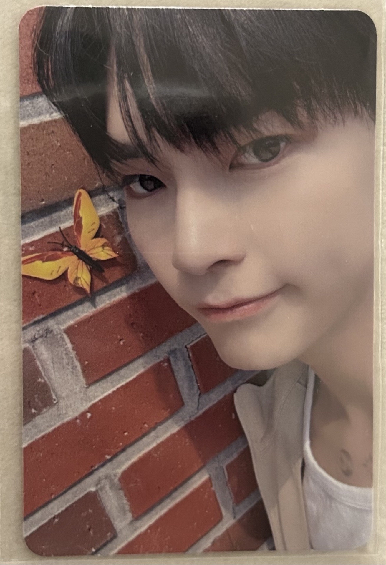 ZB1 迷三MS特典成韓彬