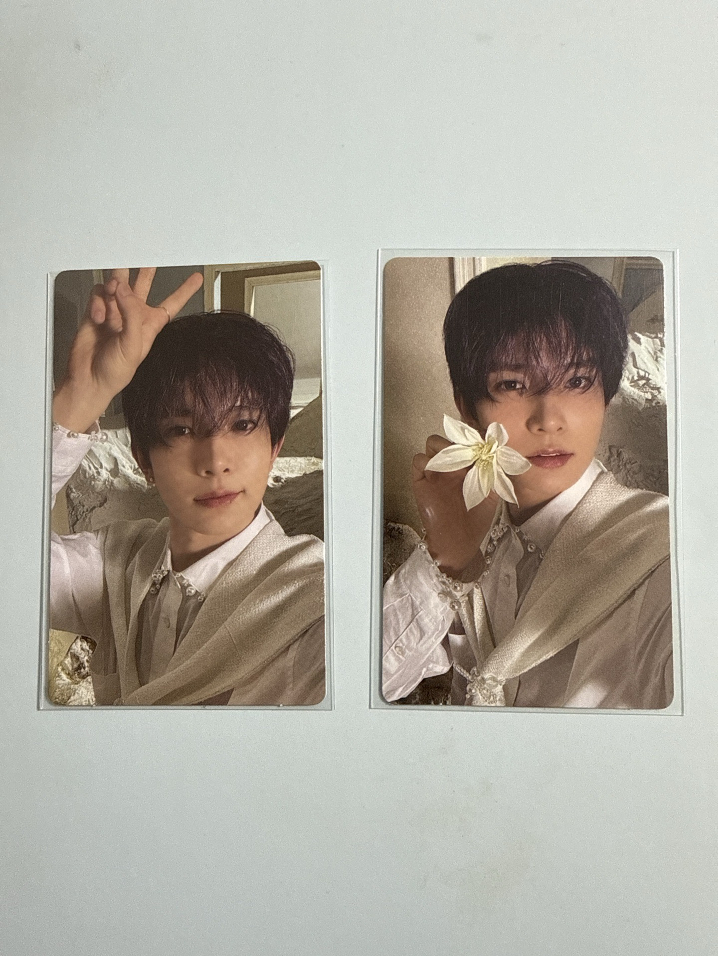 enhypen 迷五羲專卡