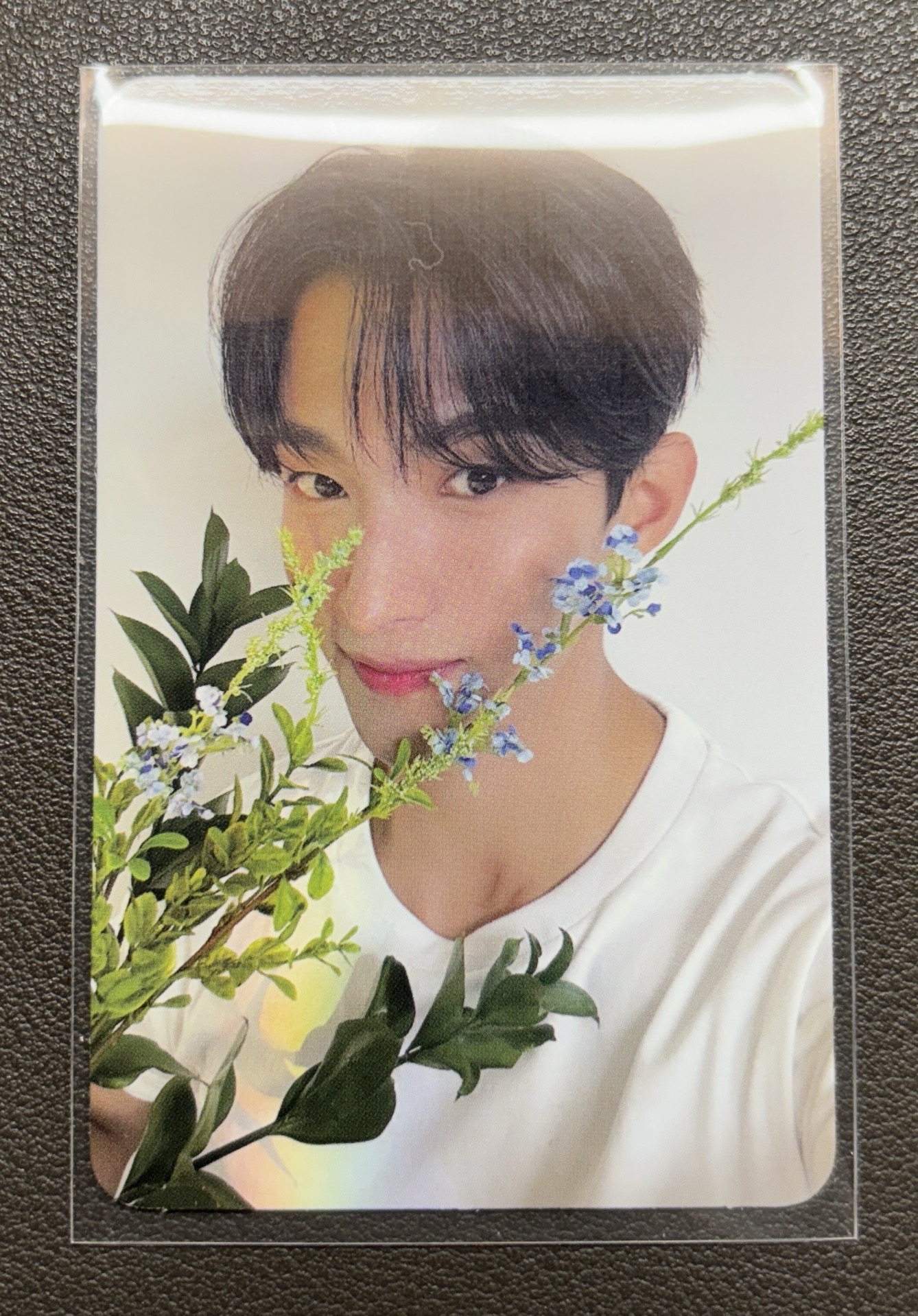 Seventeen 散卡 碩珉