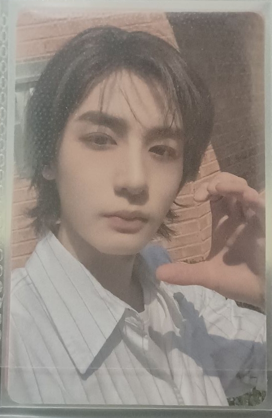 金桐儇空專+小卡