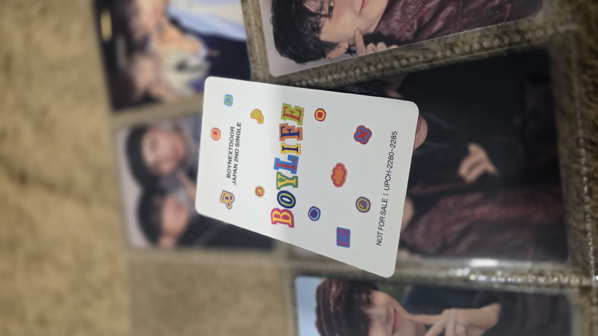 直出✨️ Boylife 雲鶴 哩嗚 豆腐 雙人卡