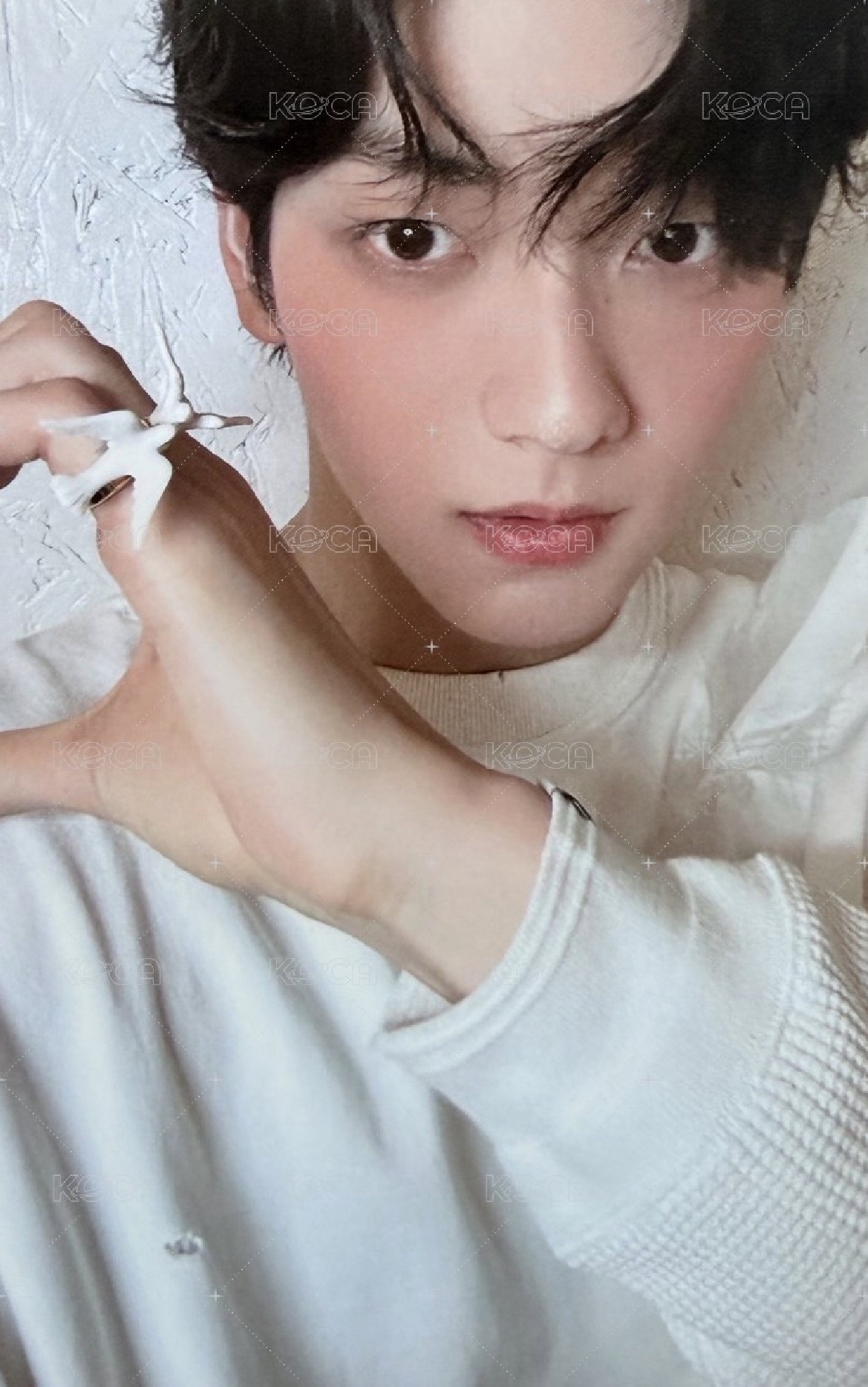 Starkissed 專輯卡 自拍卡E