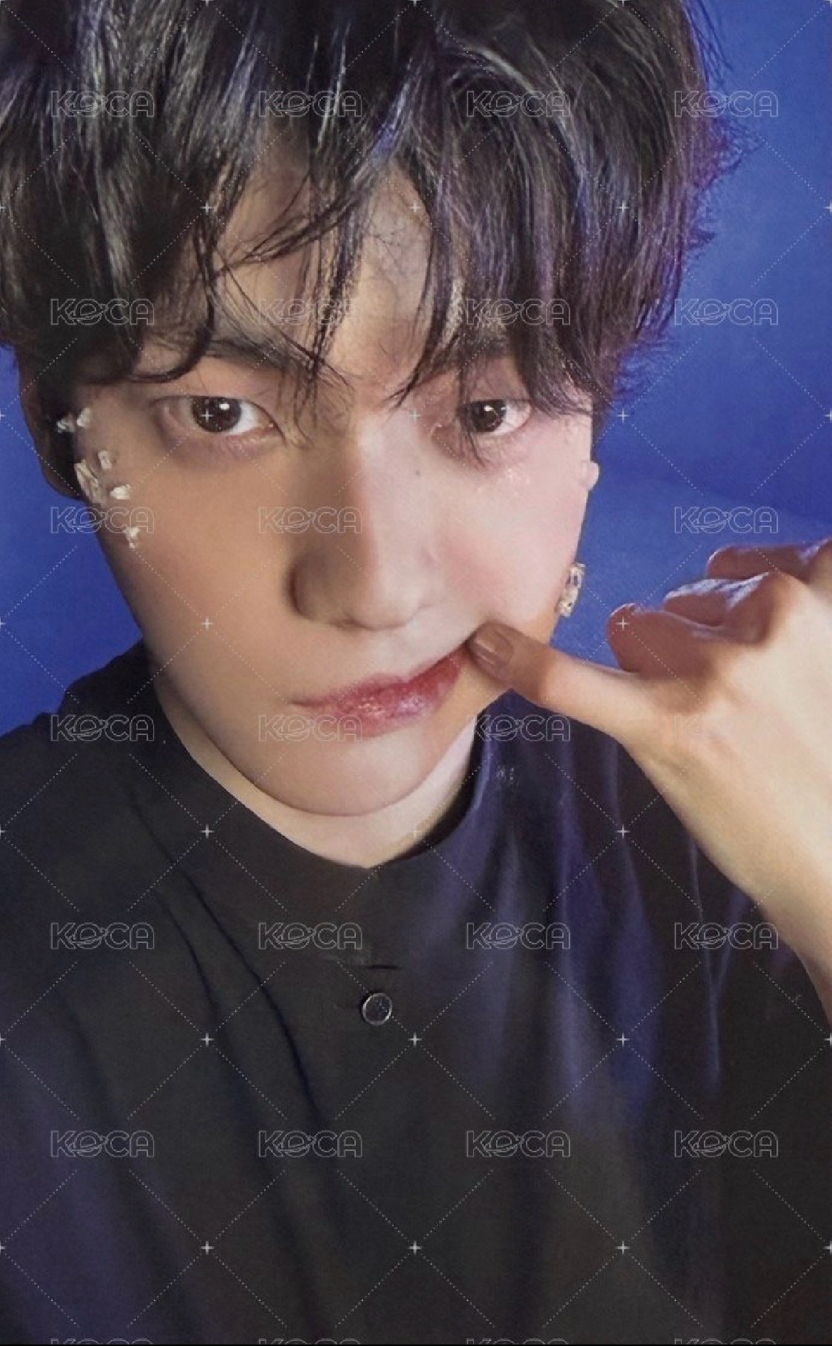 Starkissed 專輯卡 自拍卡F